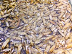 -川骄海鲜自助(河东店)