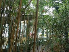 -大剧院(地铁站)