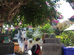 -海韵人家.海景花园经典云南菜(双廊店)