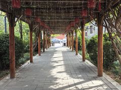 -有喜胶东小馆(太申祥和店)