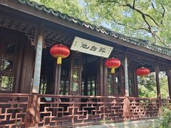 -上海醉白池公园