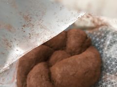 脏脏王-奈雪的茶(新天地广场PRO店)