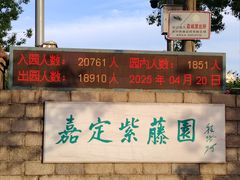 -嘉定紫藤园