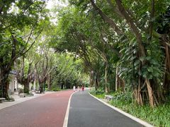 -南宁南湖公园