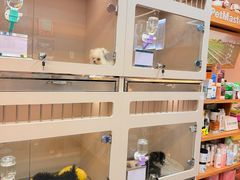 -唐小姐の私宠·宠物洗护美容·撸猫馆·购宠(周浦万达旗舰店)