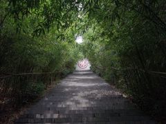 -竹林寺