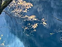 -叠溪松坪沟景区