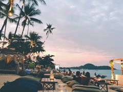 -Coco Tam’s