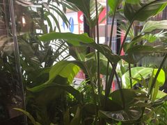 -百特喜·意大利餐厅(八佰伴镇江店)