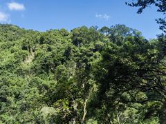 -海南热带雨林国家公园吊罗山景区