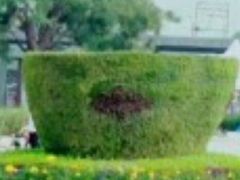 -河北省园博园