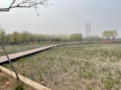 -永定河休闲森林公园