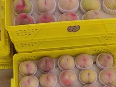 -老袁家蜜桃农场·阳山水蜜桃