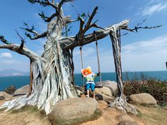 -海南分界洲岛旅游区