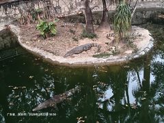 -深圳野生动物园