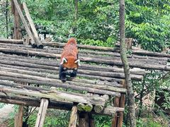 -昆明动物园