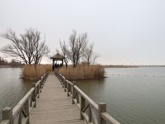 -野鸭湖国家湿地公园