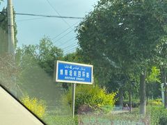 -特克斯八卦城