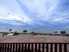 -上海滨江森林公园