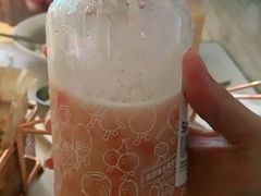 -野萃山·潮汕厚果汁(十亩地店)