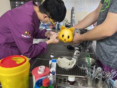 -A猫a狗全科·犬猫异宠·芥西宠物医院(南开总院)