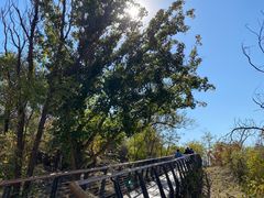 -白水寺森林公园