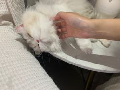 -Beauty Nails 美甲美睫皮肤管理