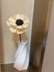 -杭州海亮医院 · 禾芸嘉医美中心