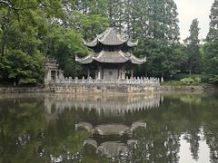 -习家池