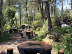 -黄陂区野村谷景区