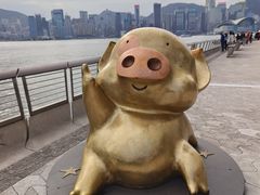 -星光大道