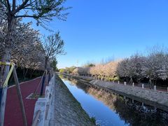 -海棠花溪(元大都城垣遗址公园)