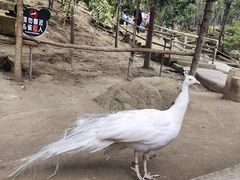 -哈尔滨北方森林动物园