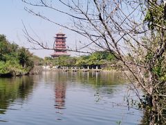 -厦门园林博览苑