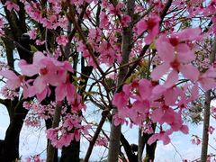 -福建鲤鱼洲酒店