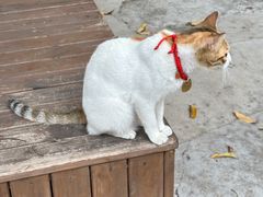 -兮食农场餐厅