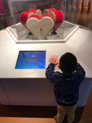 -北京科学中心儿童乐园