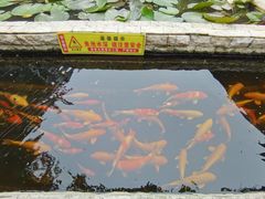 -荷香居(洞企石路店)
