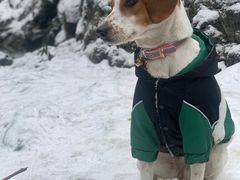 -西岭雪山大飞水景区