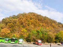 -牛背梁国家森林公园