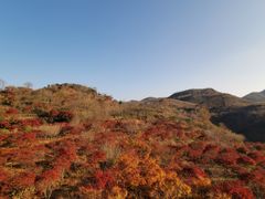 -溪口-滕头旅游景区