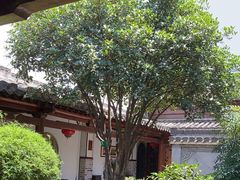 -不倒翁·徽天下名菜楼(马鞍山路店)