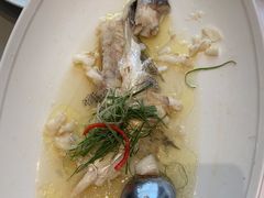 -红城阁·上海味道(四平路店)