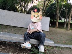 -堤角公园