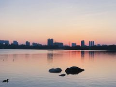 -海珠湖公园