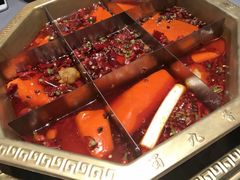 -蜀九香火锅(园艺山店)