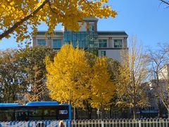 -为公商旅酒店(北京大学口腔医院魏公村总院店)