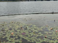 -南宁南湖公园