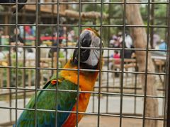 -南宫五洲植物乐园