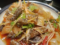 -金龙寨(解西店)